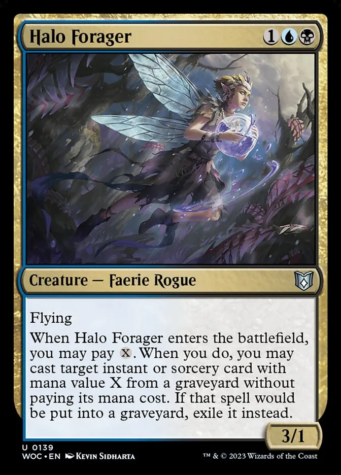 Halo Forager Front Face