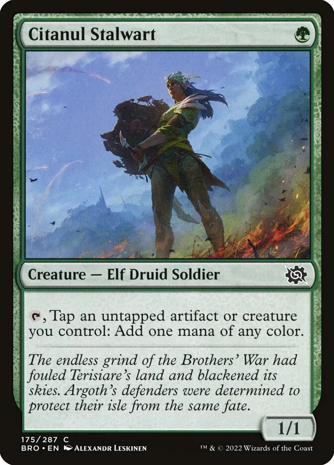 Citanul Stalwart Front Face