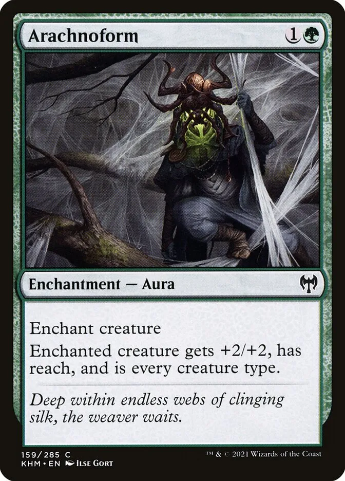 Arachnoform Front Face