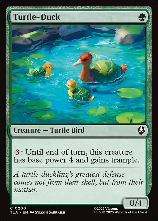 Turtle-Duck Front Face