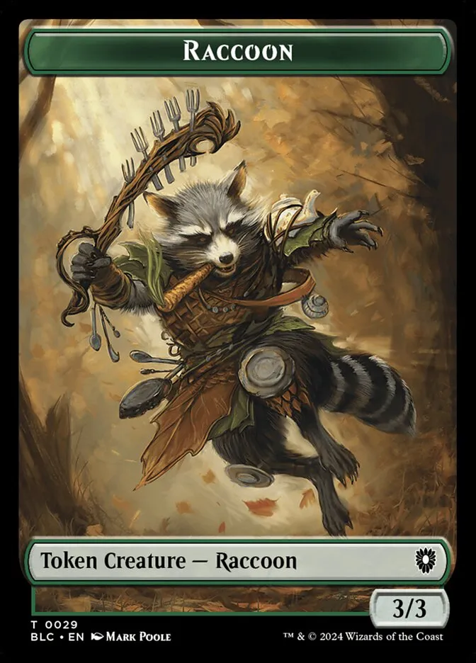 Raccoon Front Face