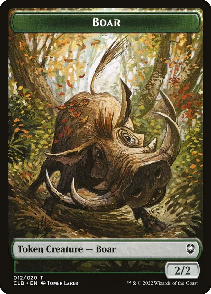 Boar Front Face