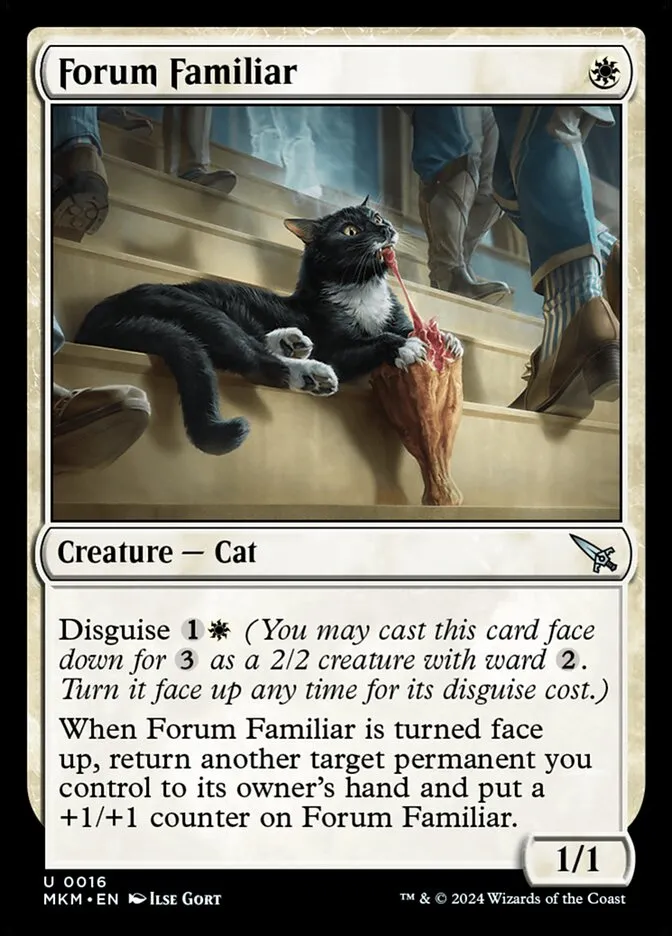 Forum Familiar Front Face