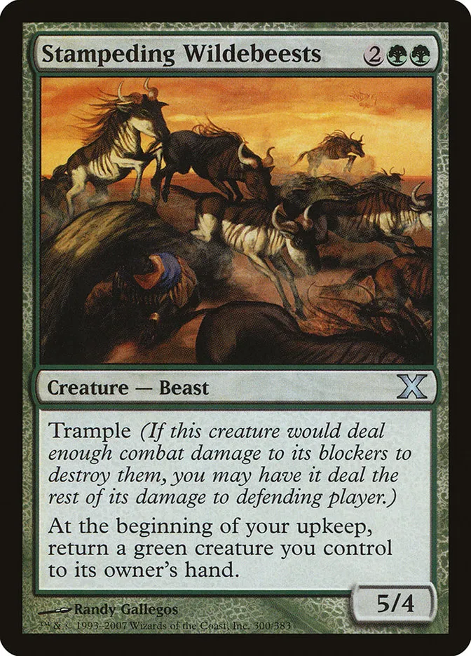Stampeding Wildebeests Front Face