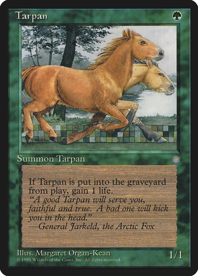 Tarpan Front Face