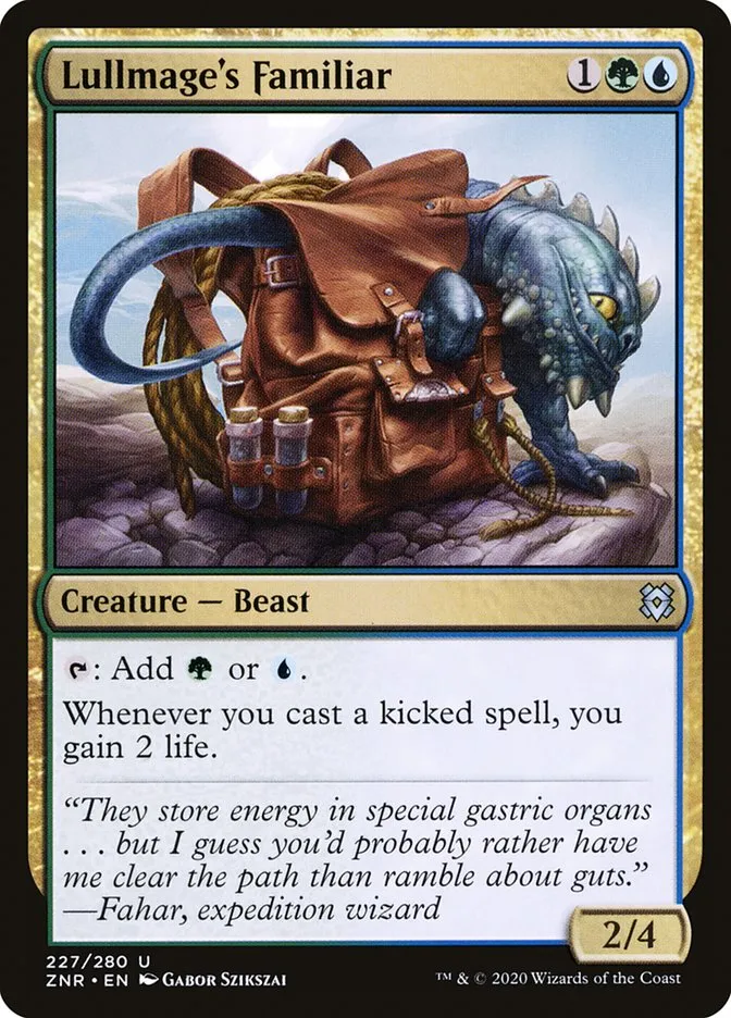 Lullmage's Familiar Front Face