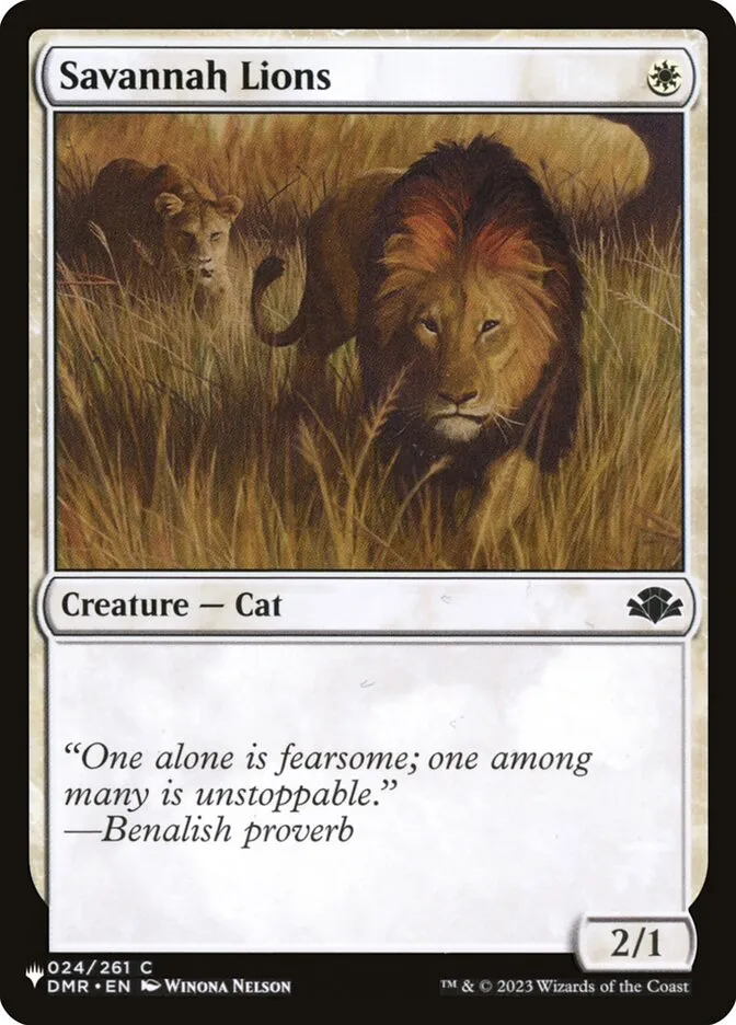 Savannah Lions Front Face