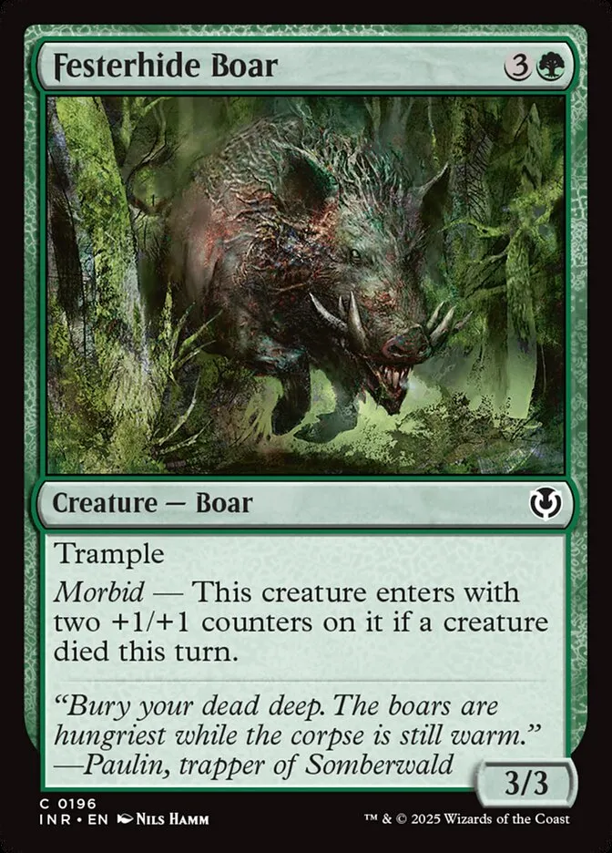 Festerhide Boar Front Face