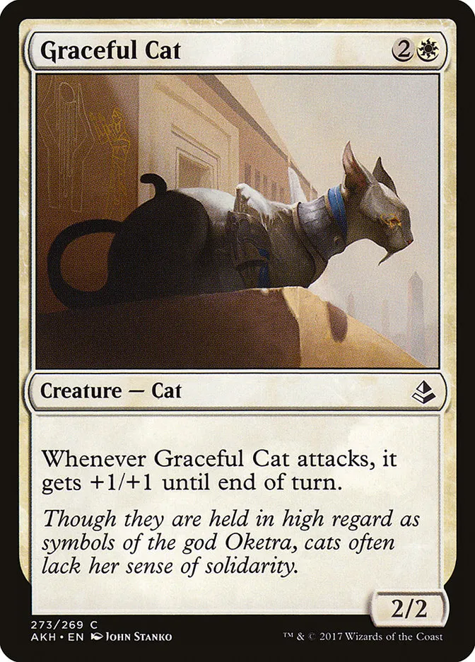 Graceful Cat Front Face