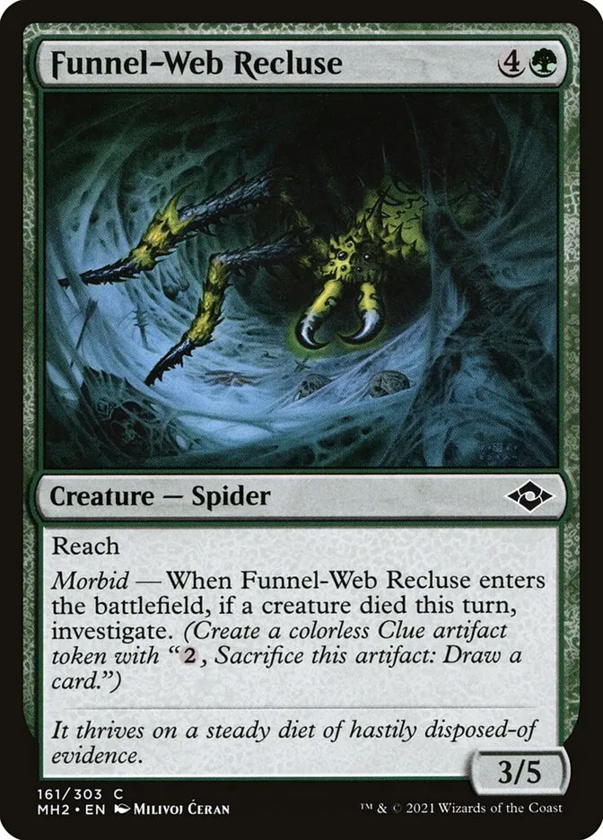 Funnel-Web Recluse Front Face