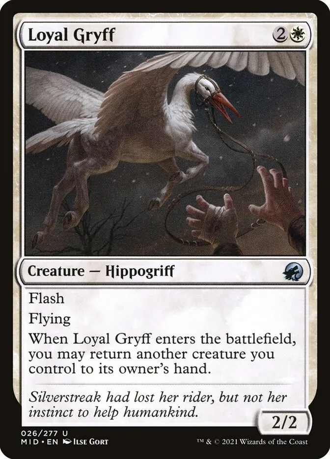 Loyal Gryff Front Face
