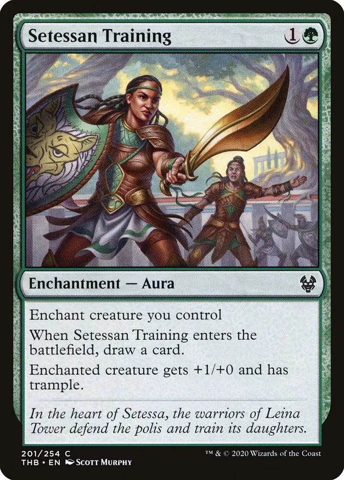 Setessan Training Front Face