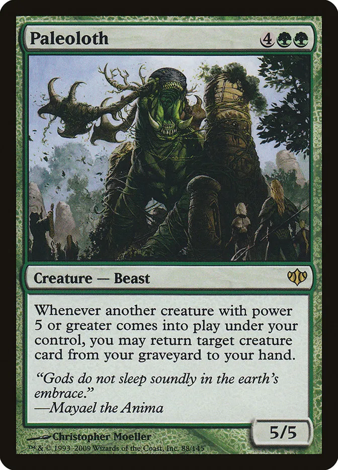 Paleoloth Front Face