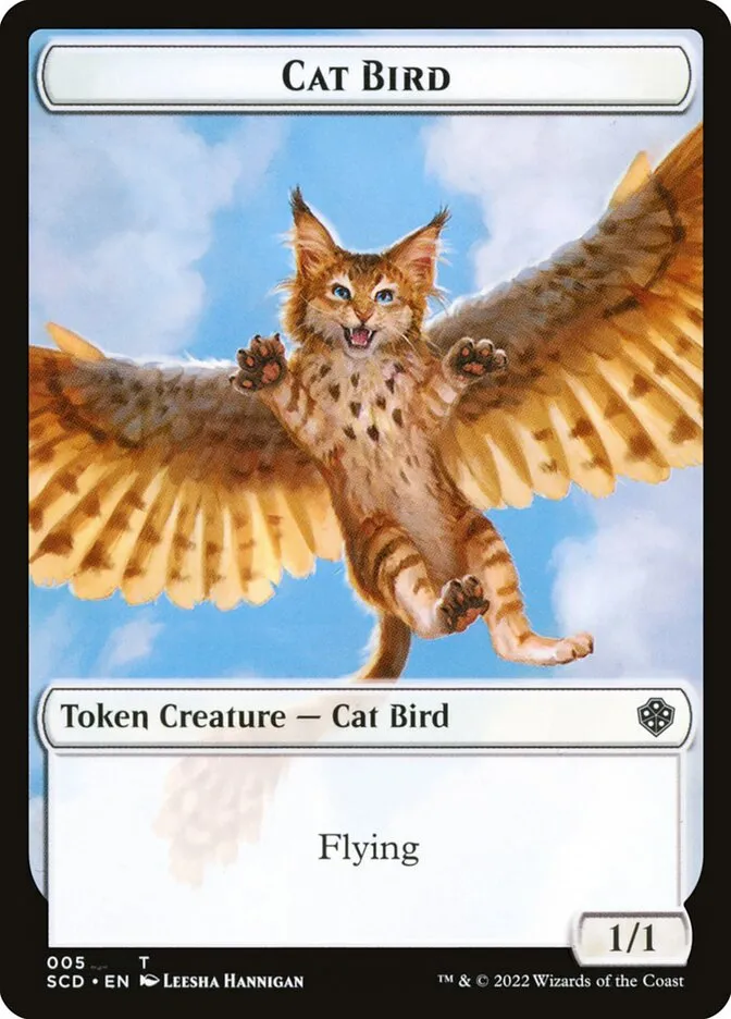 Cat Bird Front Face