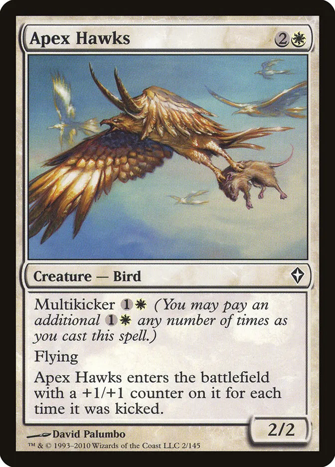 Apex Hawks Front Face