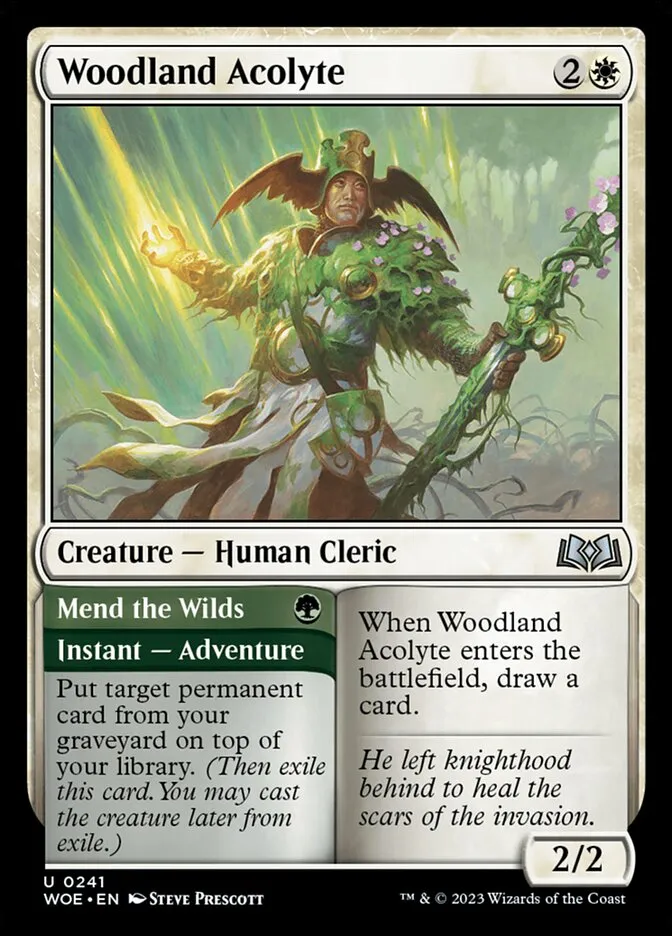 Woodland Acolyte // Mend the Wilds Front Face