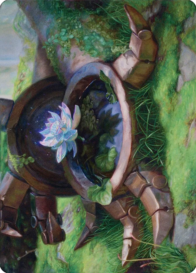 Timeless Lotus // Timeless Lotus Front Face