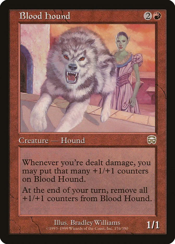 Blood Hound Front Face