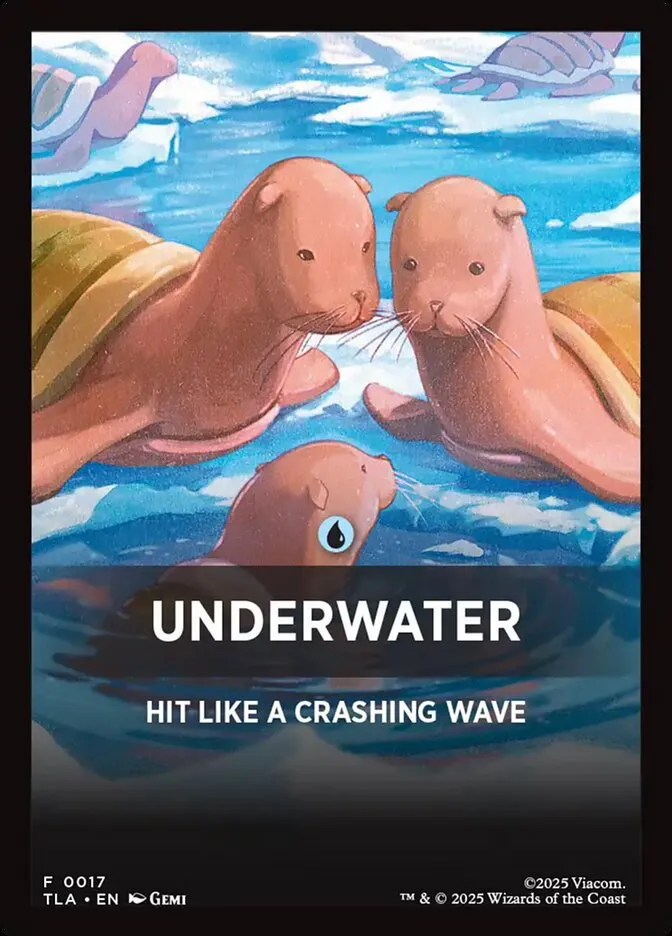 Underwater Front Face