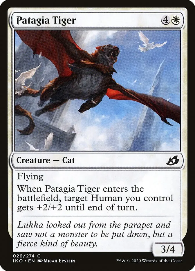 Patagia Tiger Front Face
