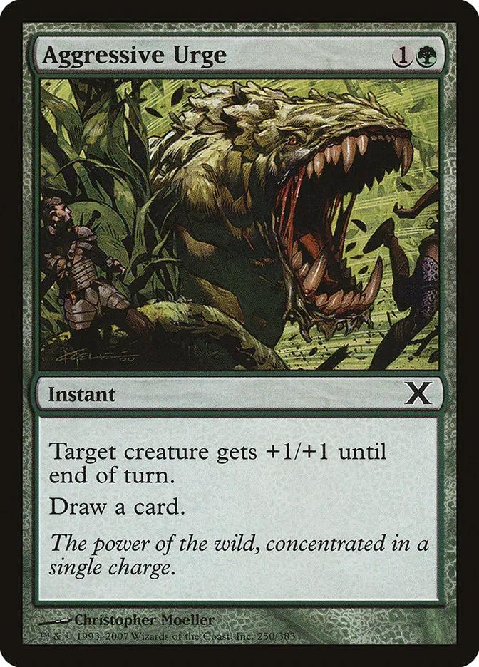 Aggressive Urge Front Face