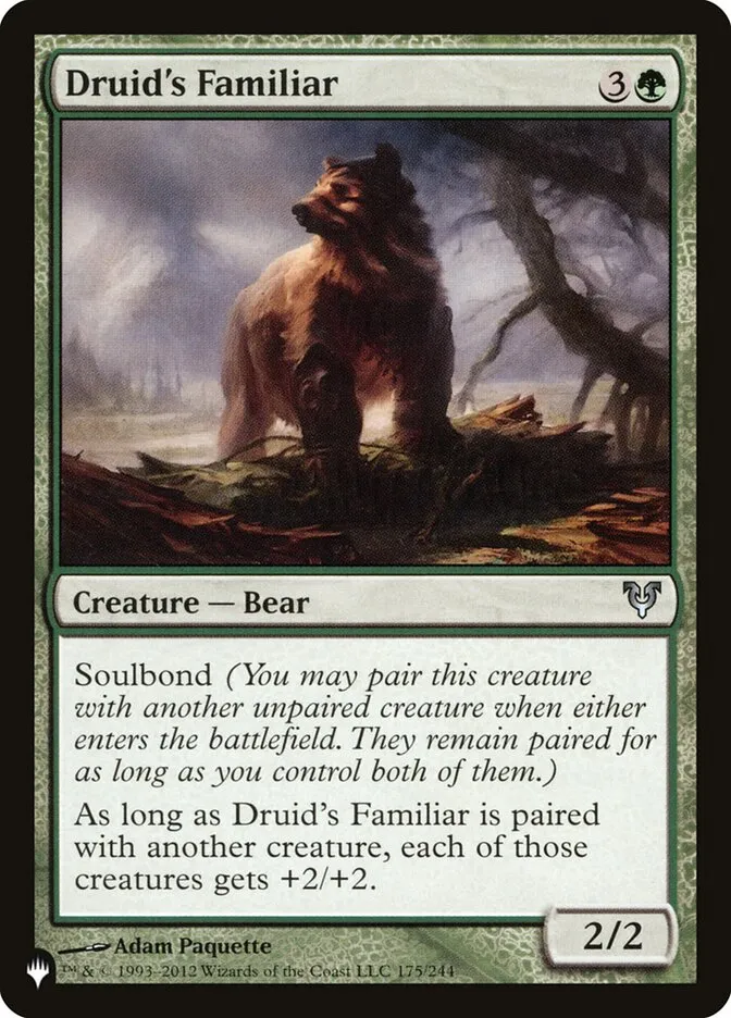 Druid's Familiar Front Face