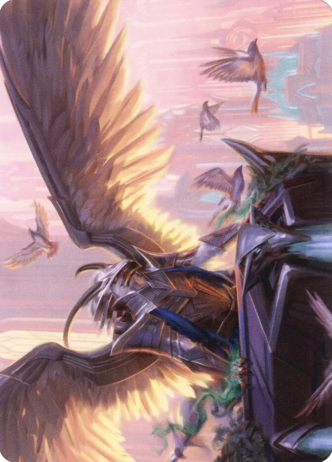 Falco Spara, Pactweaver // Falco Spara, Pactweaver Front Face