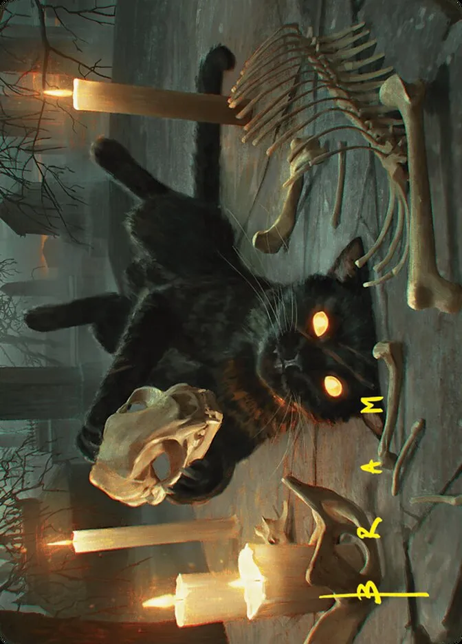 Nine-Lives Familiar // Nine-Lives Familiar Front Face