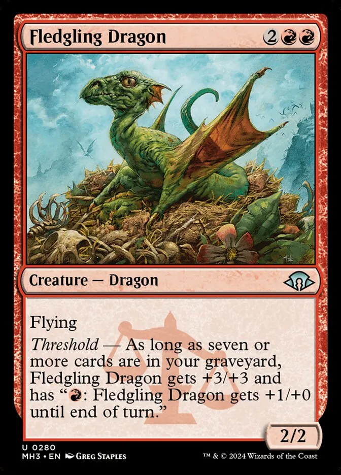 Fledgling Dragon Front Face