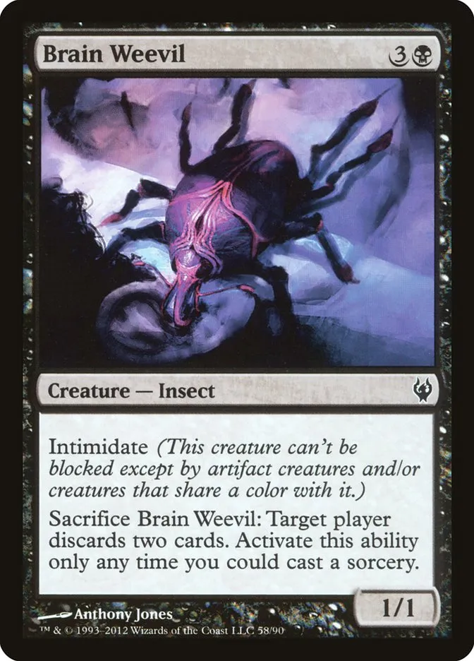 Brain Weevil Front Face