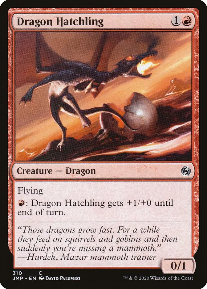 Dragon Hatchling Front Face