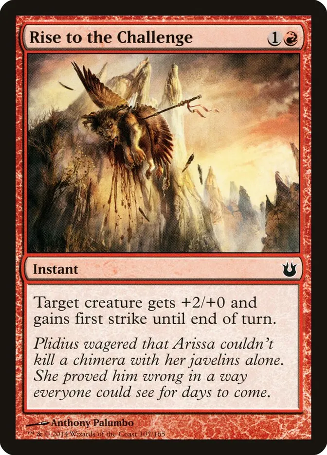 Rise to the Challenge Front Face