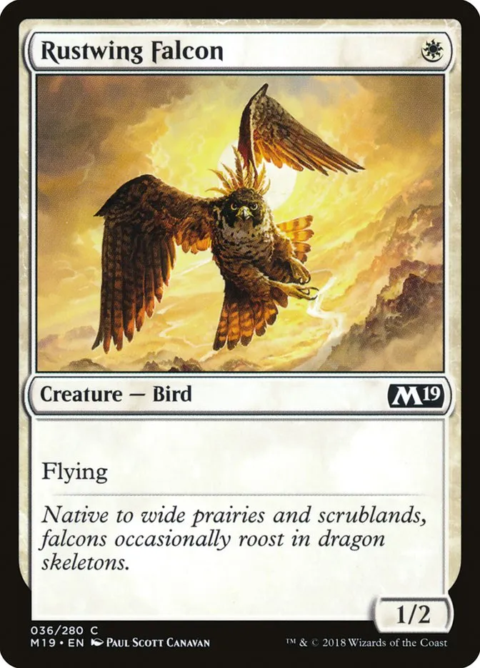 Rustwing Falcon Front Face