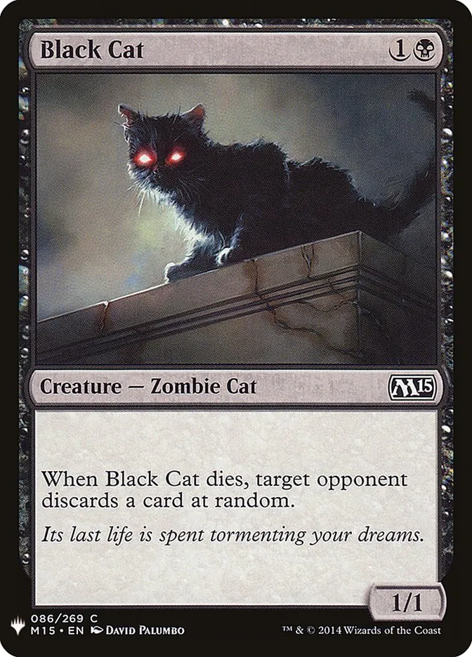 Black Cat Front Face