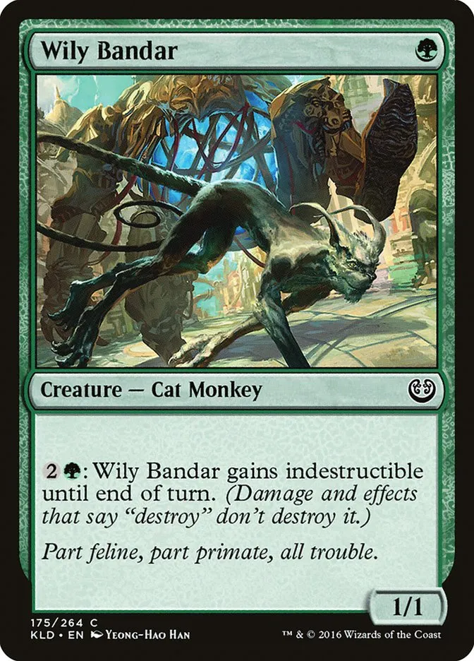 Wily Bandar Front Face