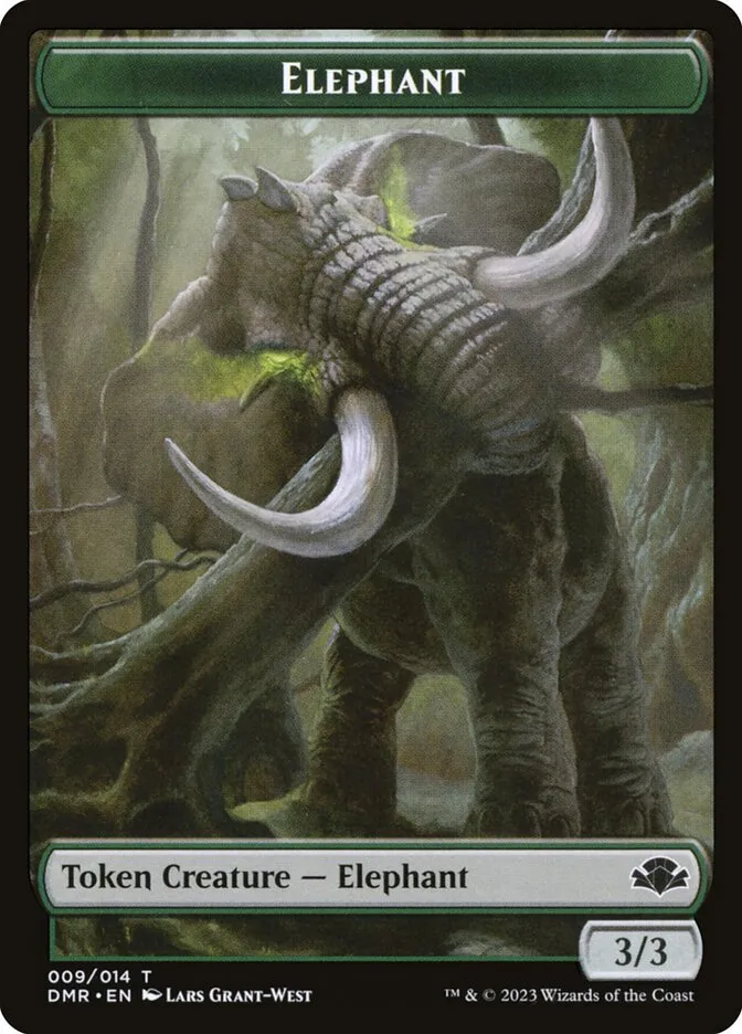 Elephant Front Face