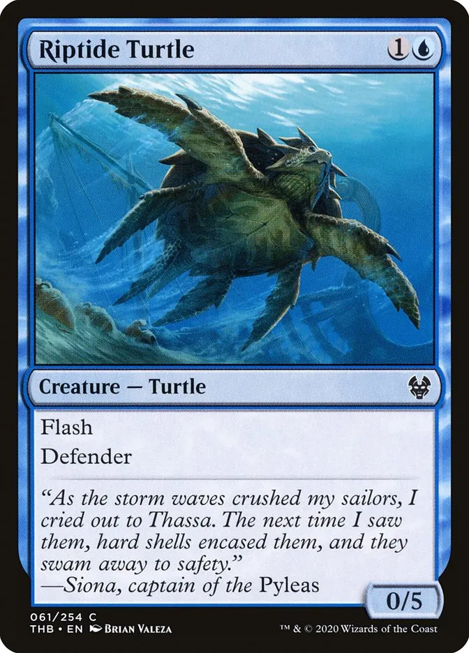 Riptide Turtle Front Face