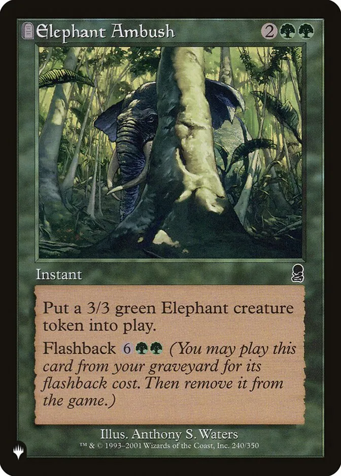 Elephant Ambush Front Face