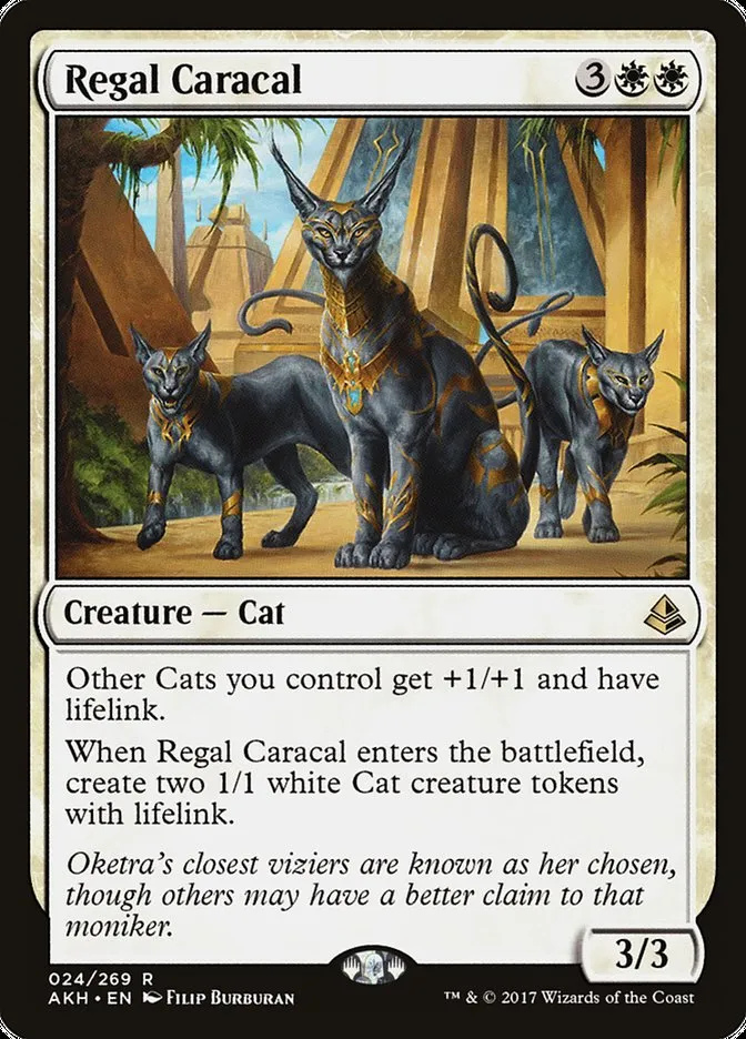 Regal Caracal Front Face