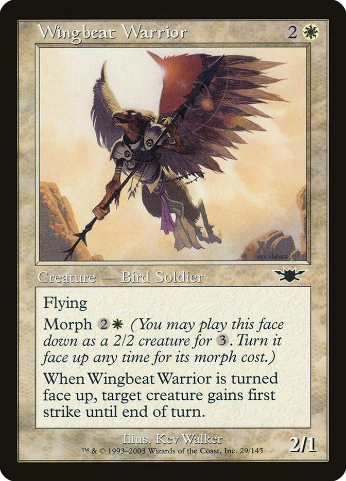 Wingbeat Warrior Front Face