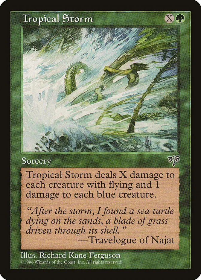 Tropical Storm Front Face