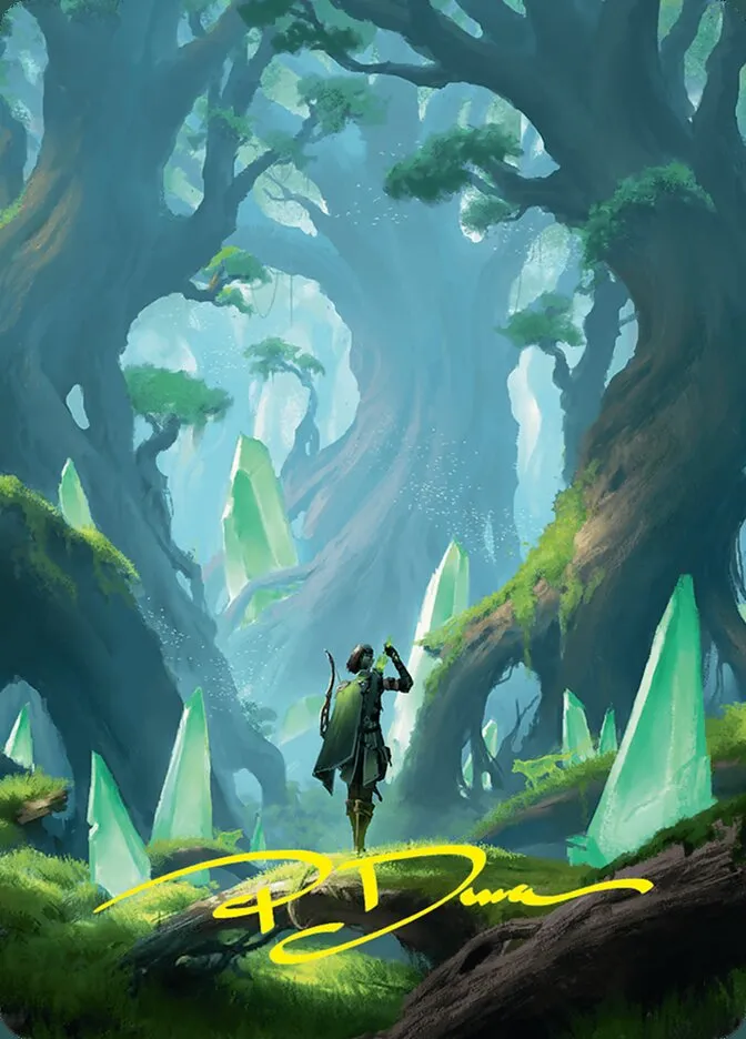 Forest // Forest Front Face