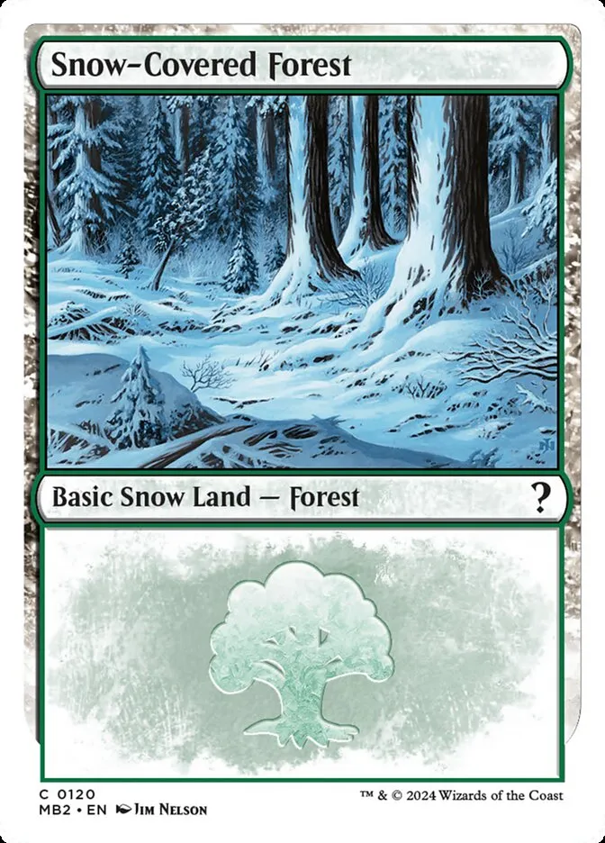 Snow-Covered Forest Front Face