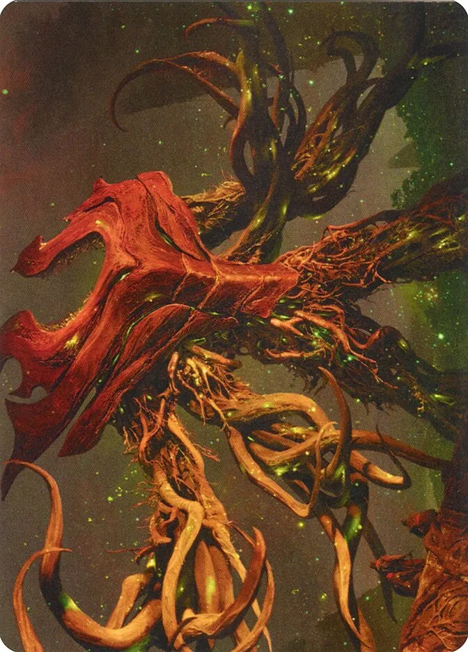 Ashaya, Soul of the Wild // Ashaya, Soul of the Wild Front Face