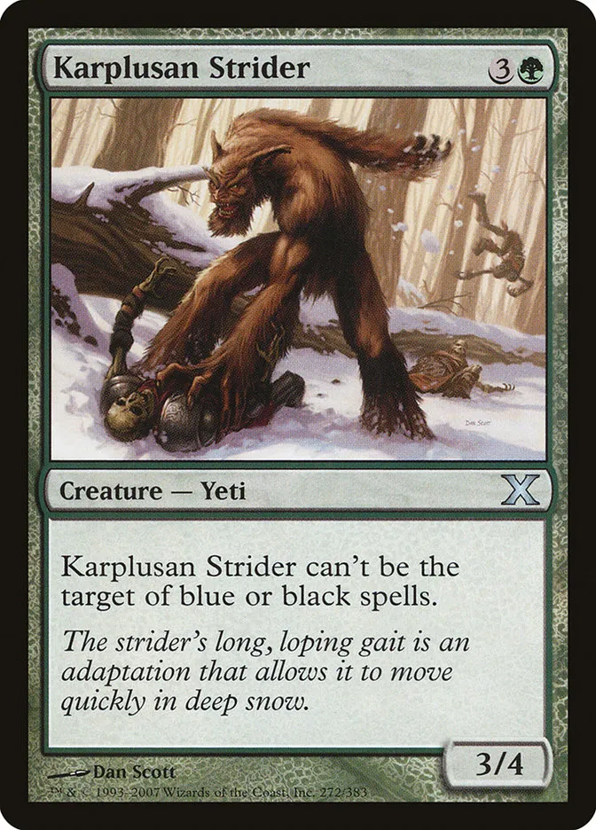 Karplusan Strider Front Face