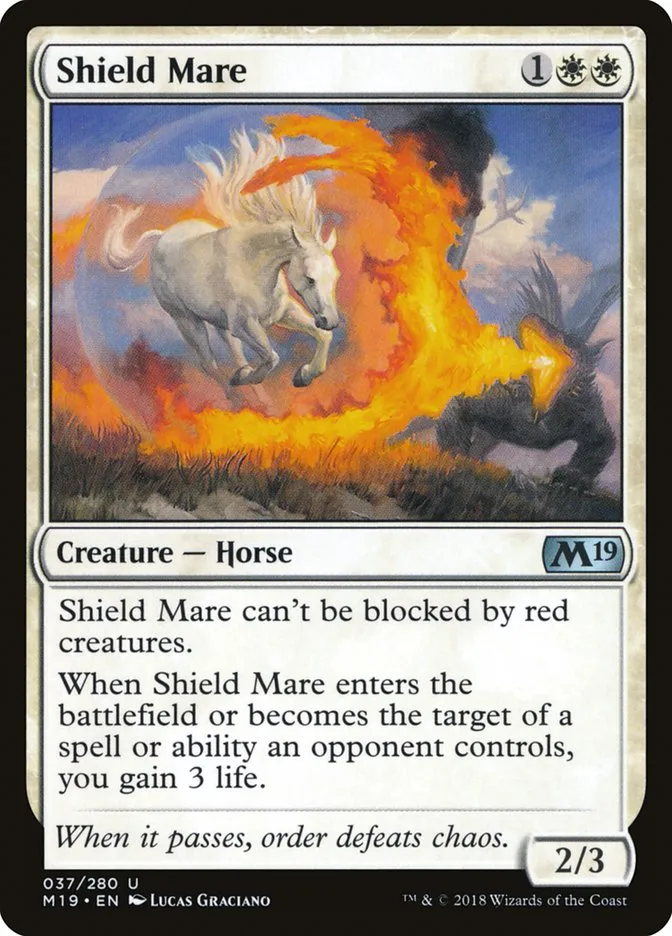 Shield Mare Front Face