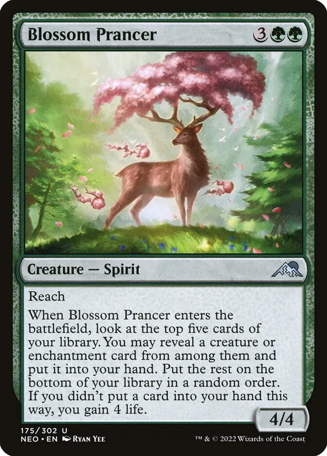 Blossom Prancer Front Face