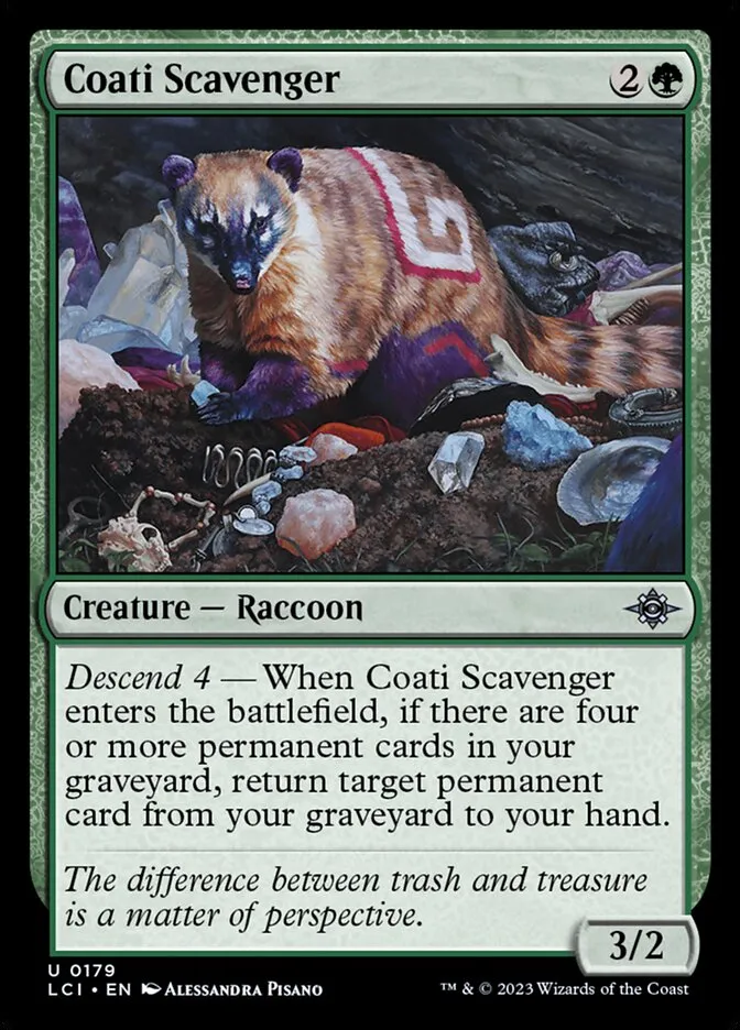 Coati Scavenger Front Face