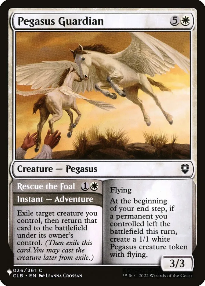Pegasus Guardian // Rescue the Foal Front Face
