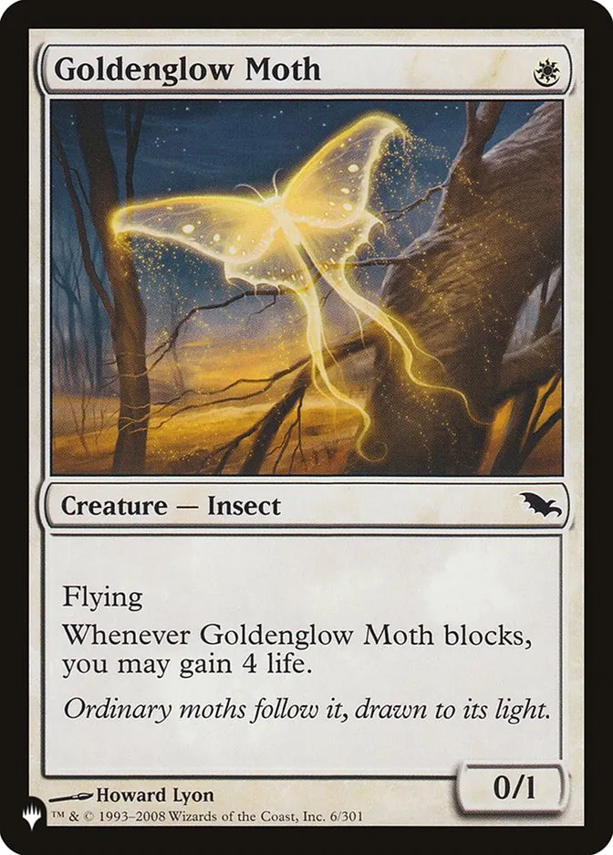 Goldenglow Moth Front Face